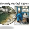Deraniyagala Pictures